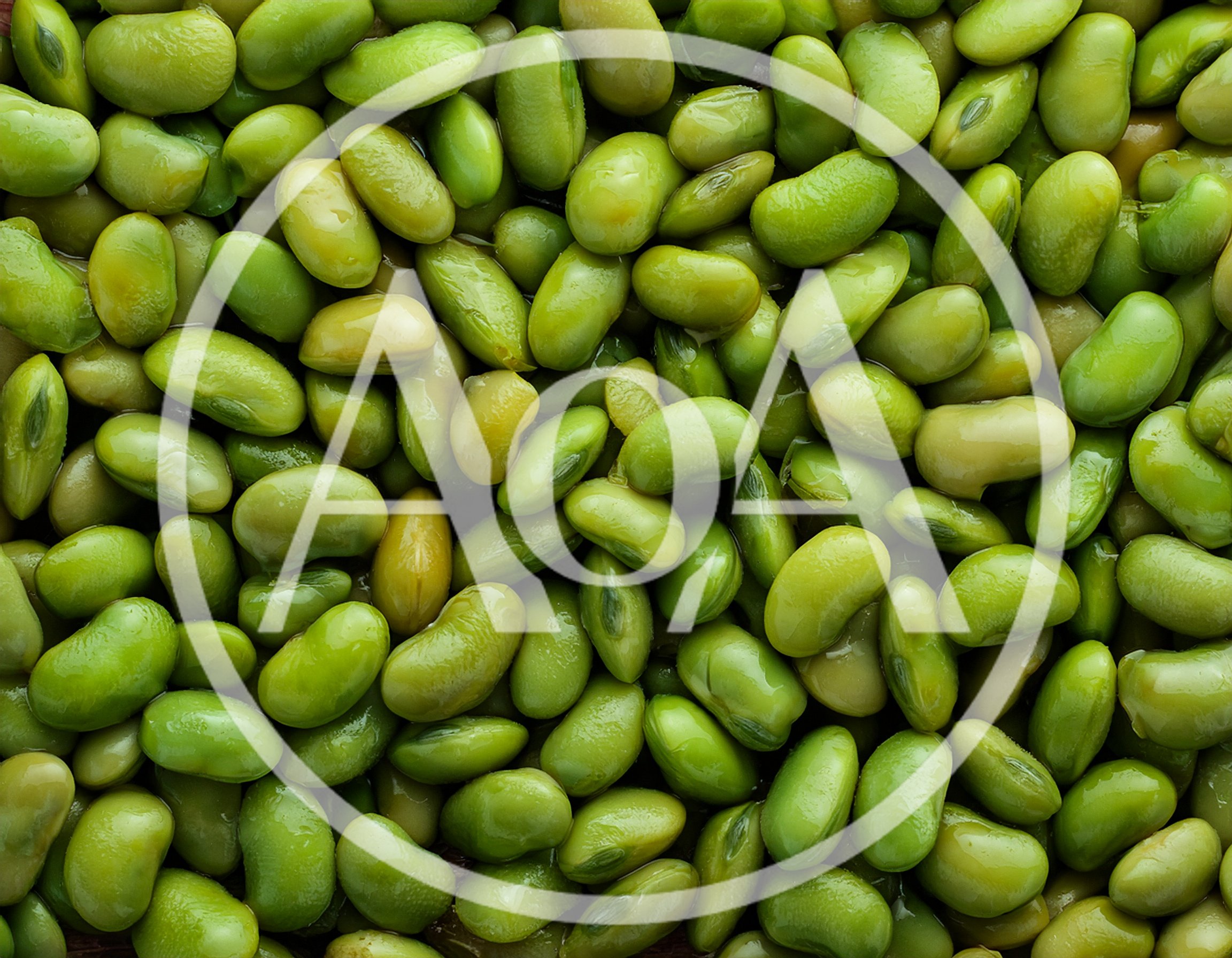Fresh Green Edamame Soybeans Background