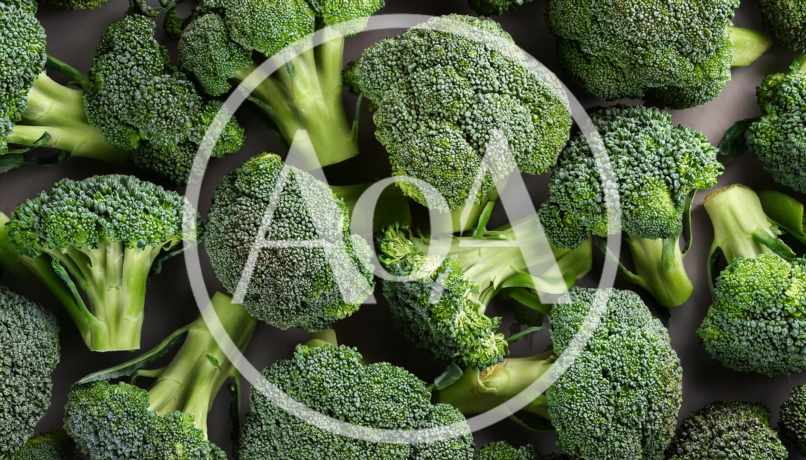 Fresh Green Broccoli Florets Arranged On Dark Background