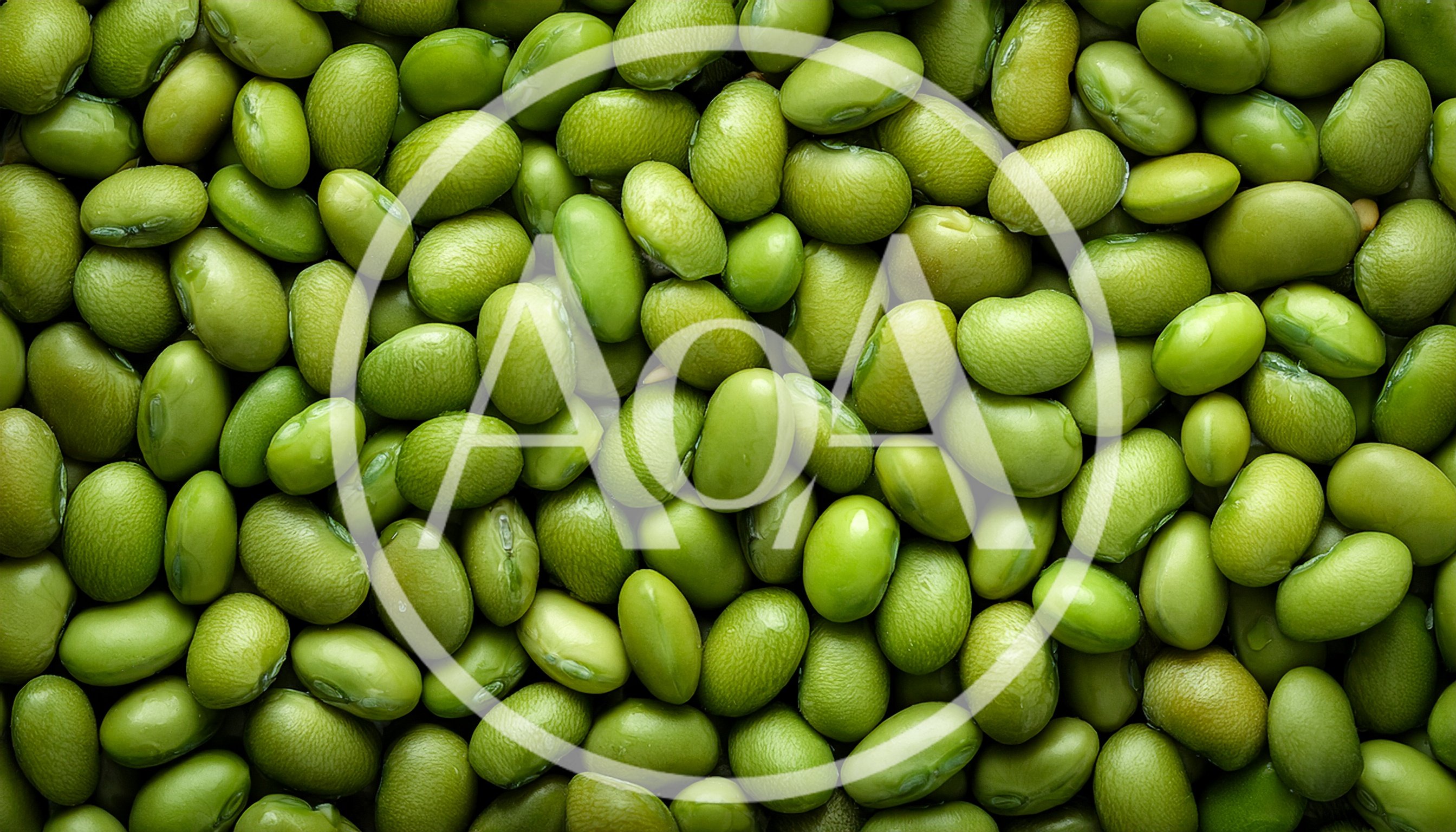 Close Up Of Fresh Green Edamame Soybeans