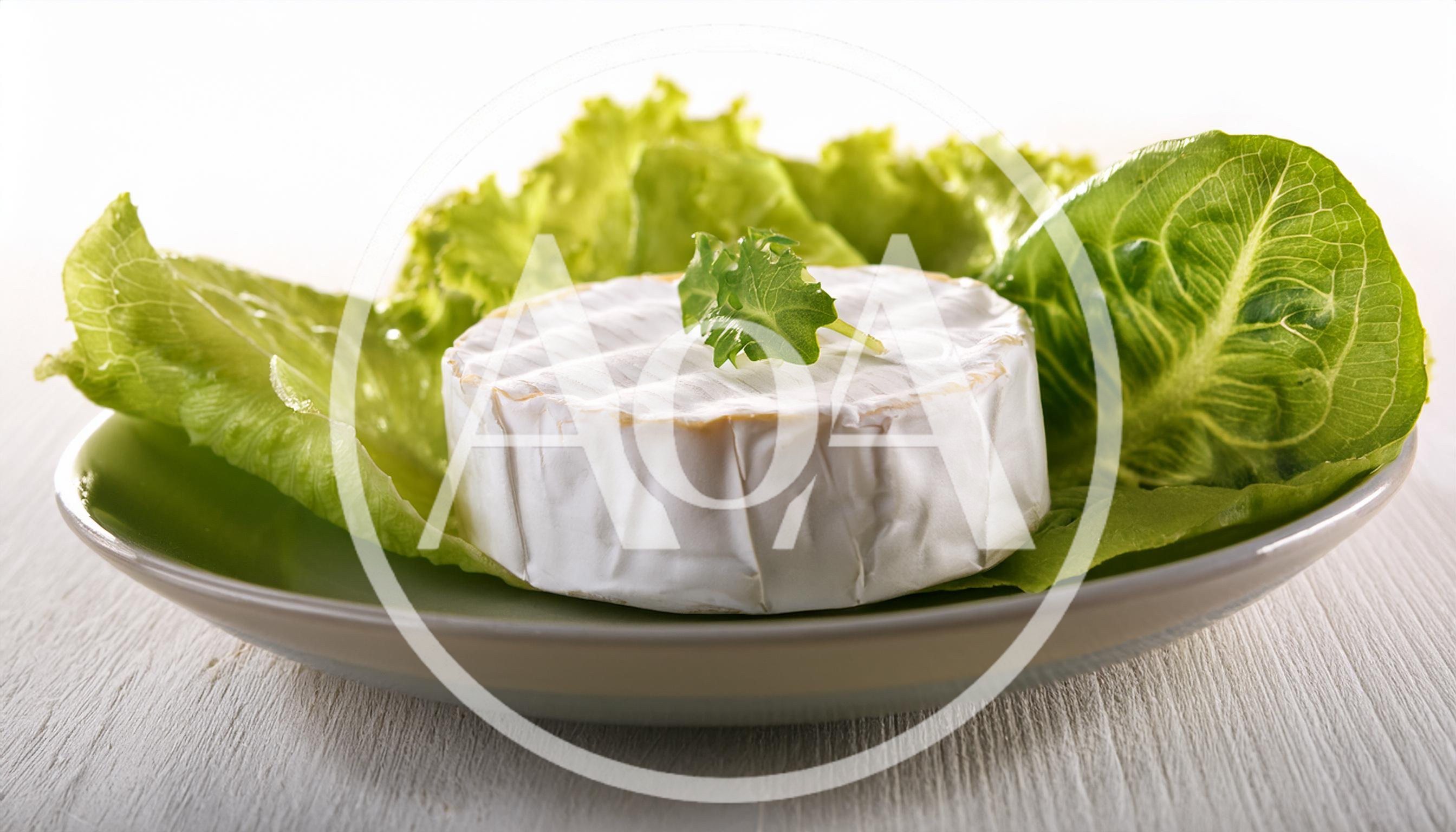 Camembert Cheese Wheel Served On Fresh Lettuce Leaves