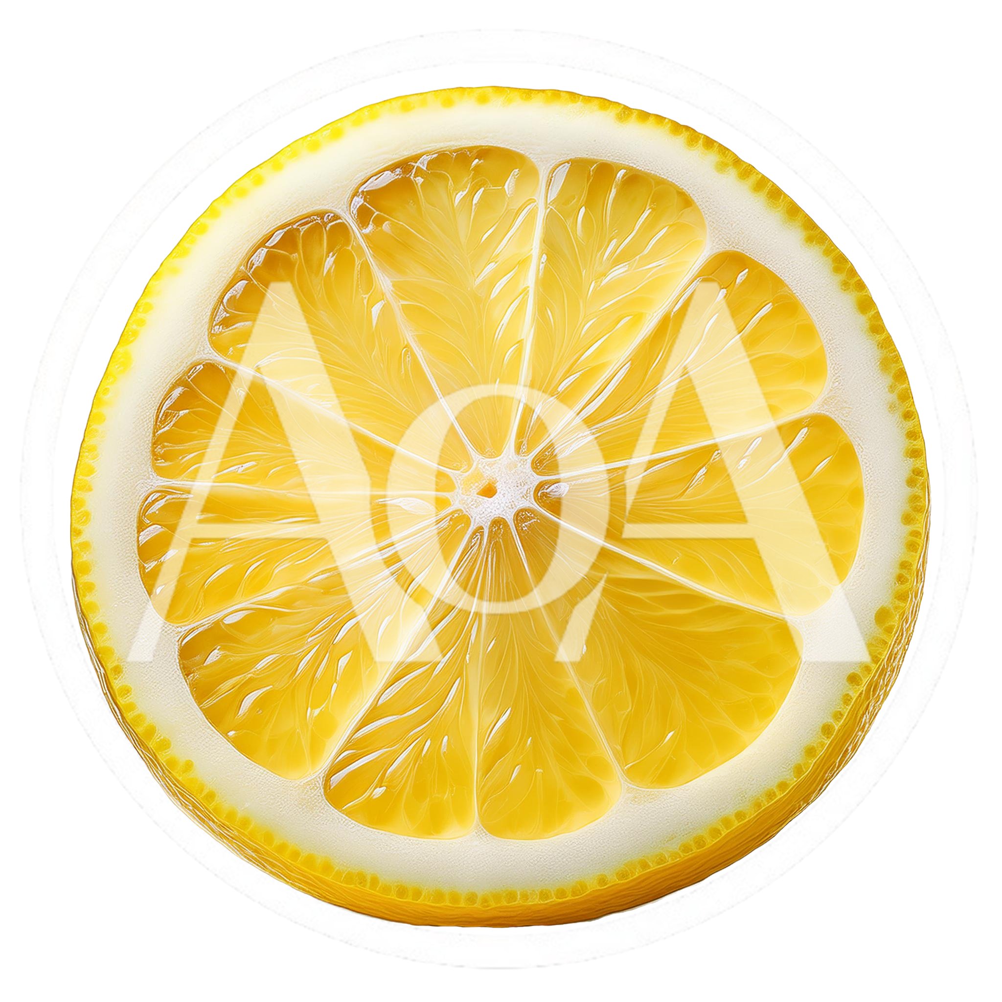 Fresh Lemon Slice Isolated On White Background