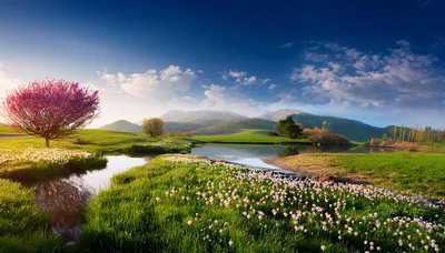 Spring Landscape With Flowering Tree And Mountain Stream