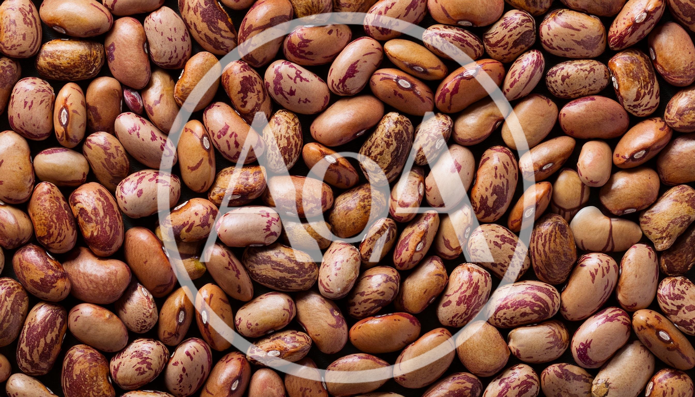 Top View Of Raw Pinto Beans Background