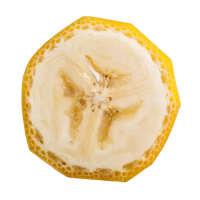 Macro Cross Section Of A Fresh Banana Slice