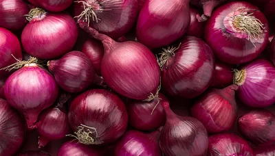 Fresh Whole Red Onions Background