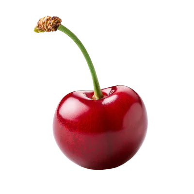 Single Fresh Red Cherry With Stem