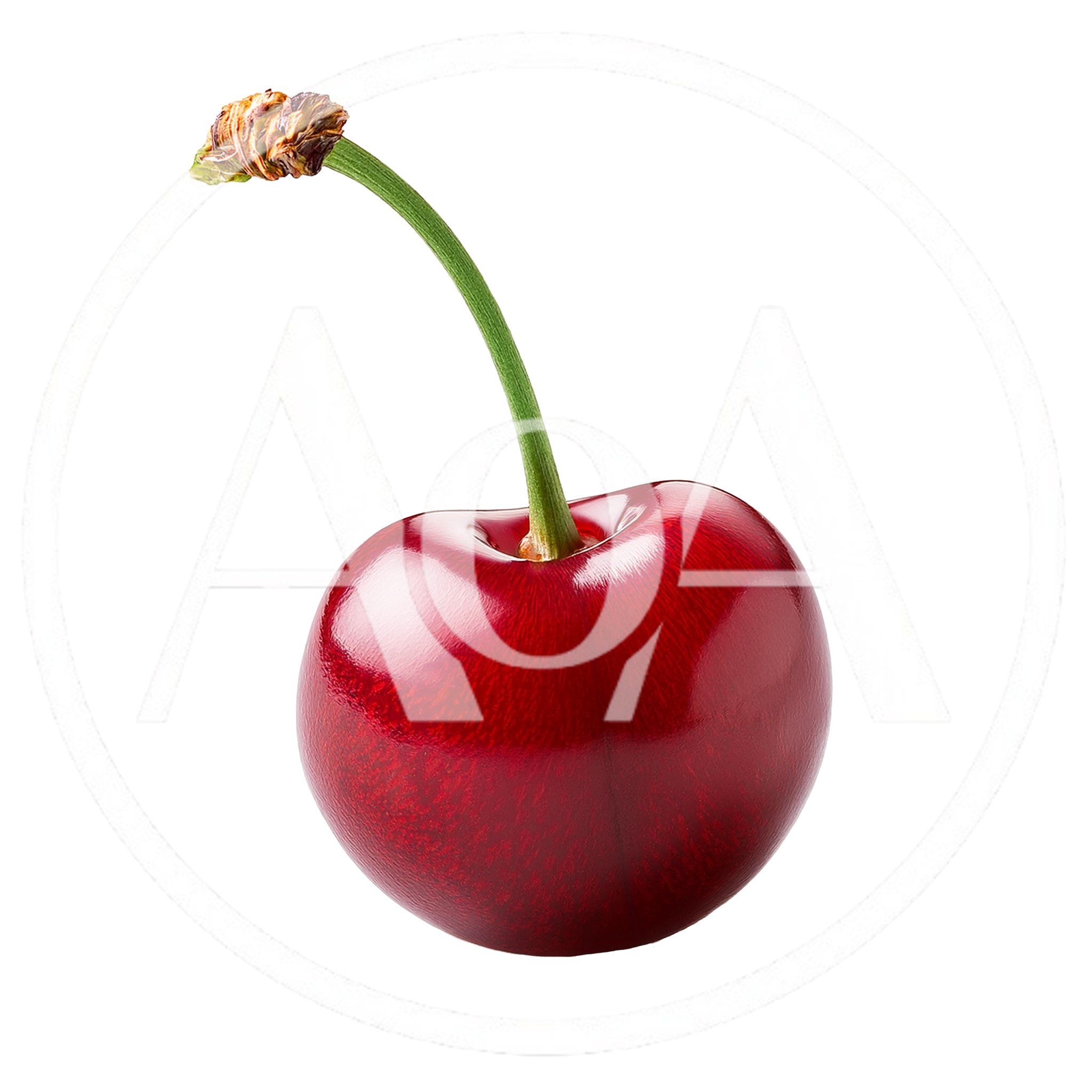 Single Fresh Red Cherry With Stem