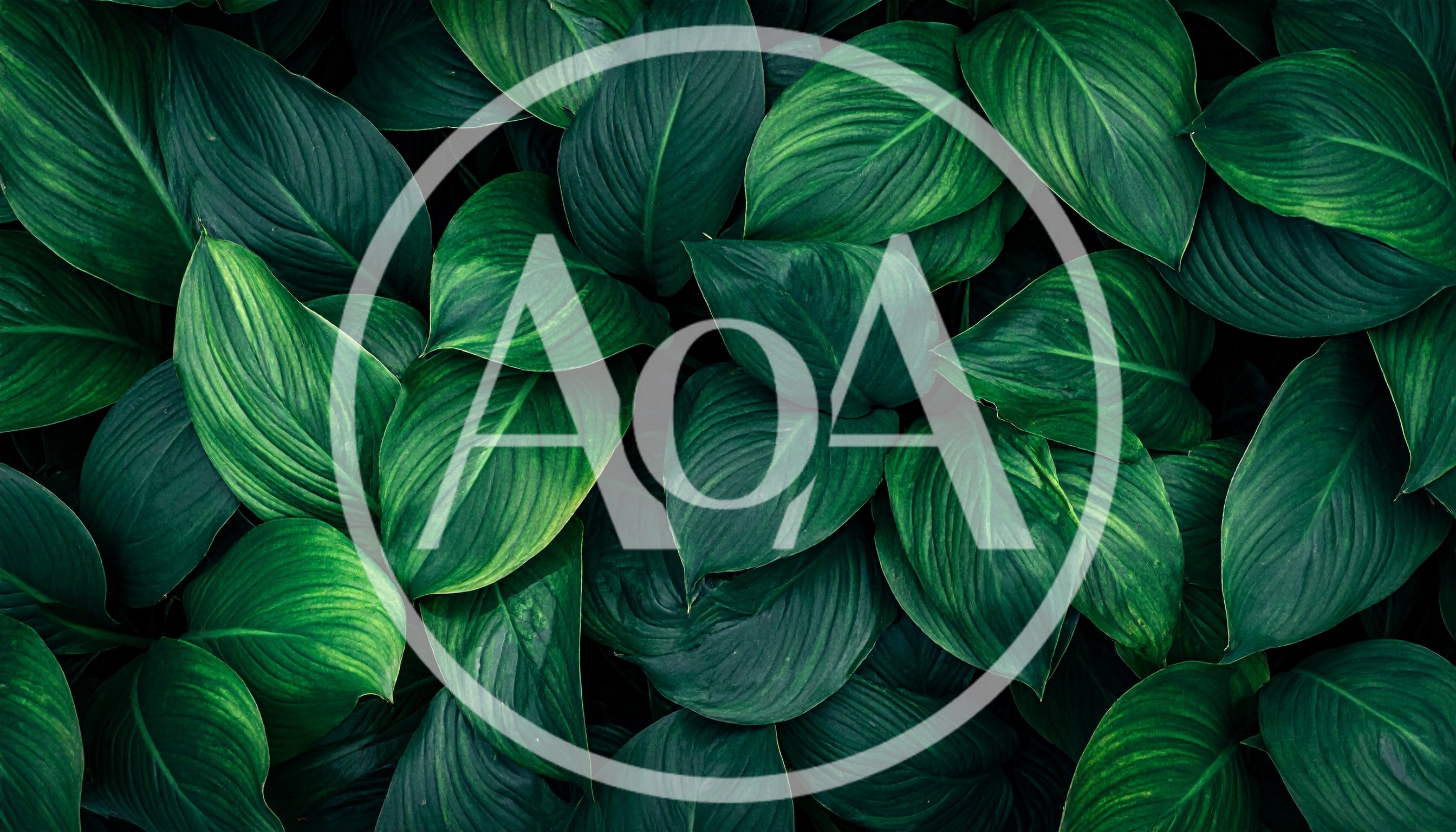 Lush Green Tropical Foliage Background