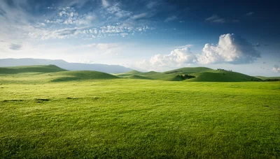 Rolling Green Hills Under A Dramatic Blue Sky