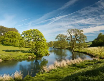 Serene River Landscape With Lush Green Trees