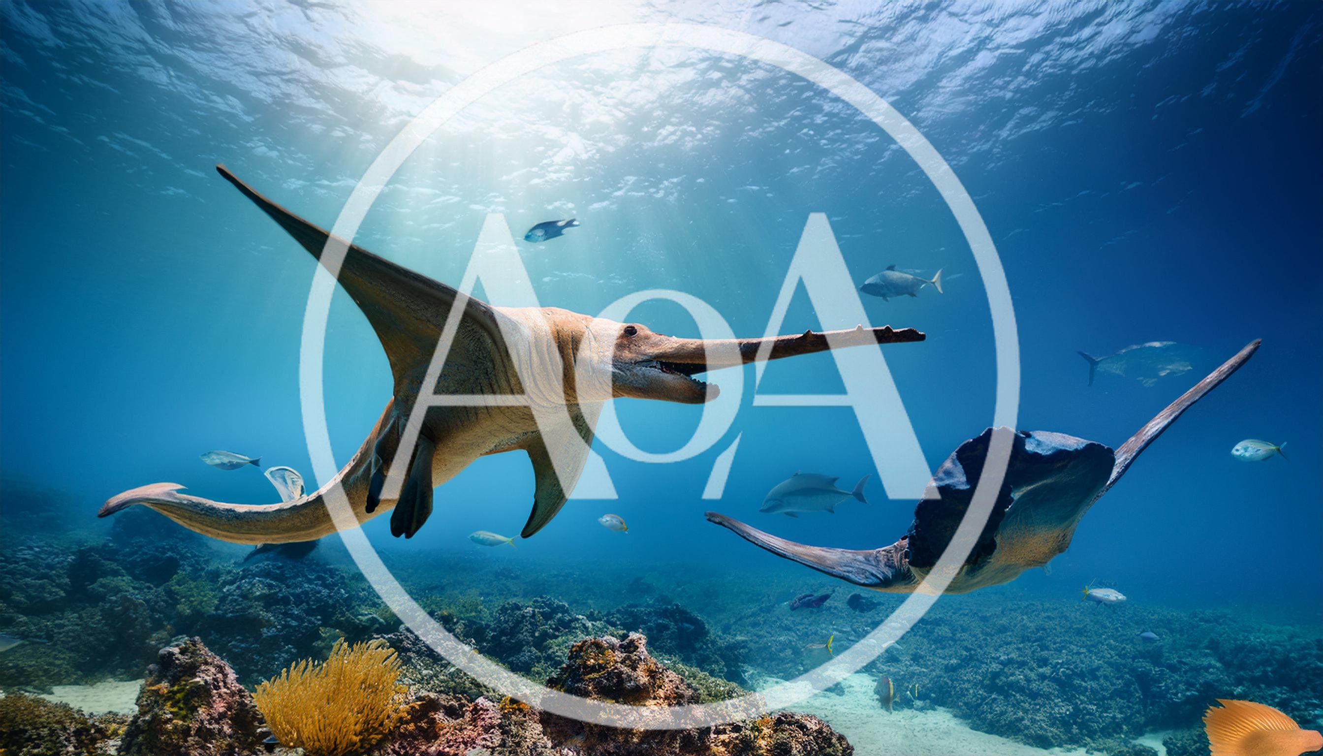 Prehistoric Marine Reptile Swimming With Manta Ray