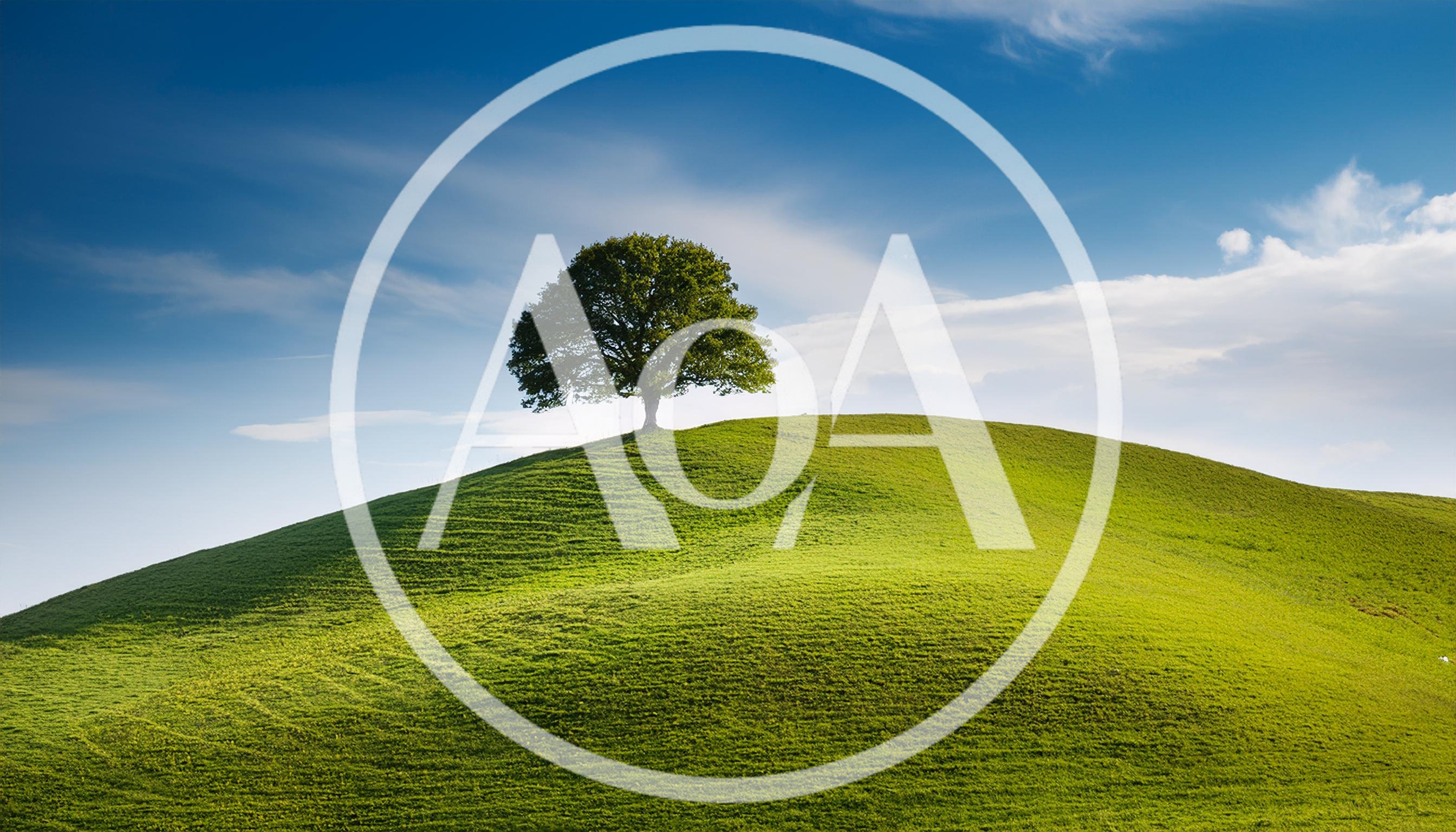 Solitary Oak Tree On A Rolling Green Hill