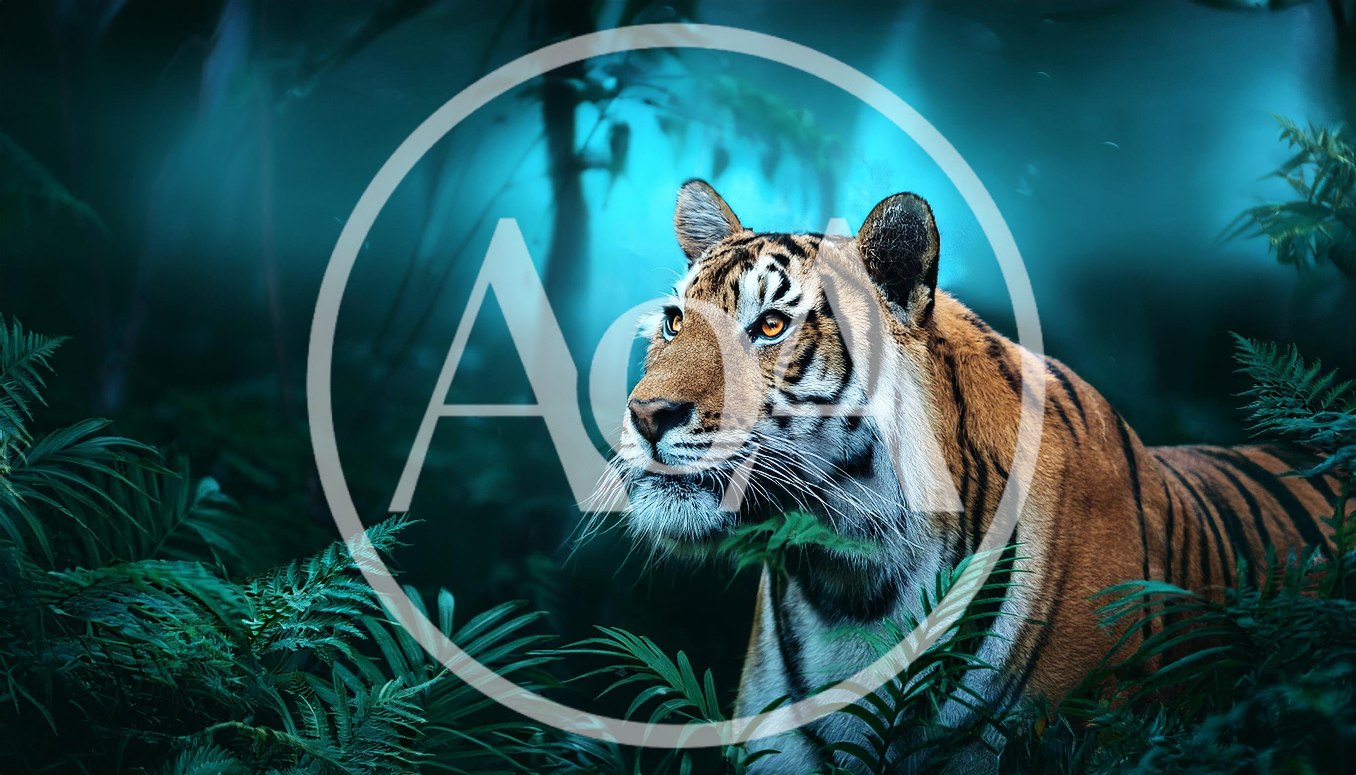 Majestic Tiger Resting In A Lush Tropical Jungle