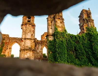 Ruins of a Gothic Monastery Covered in Ivy