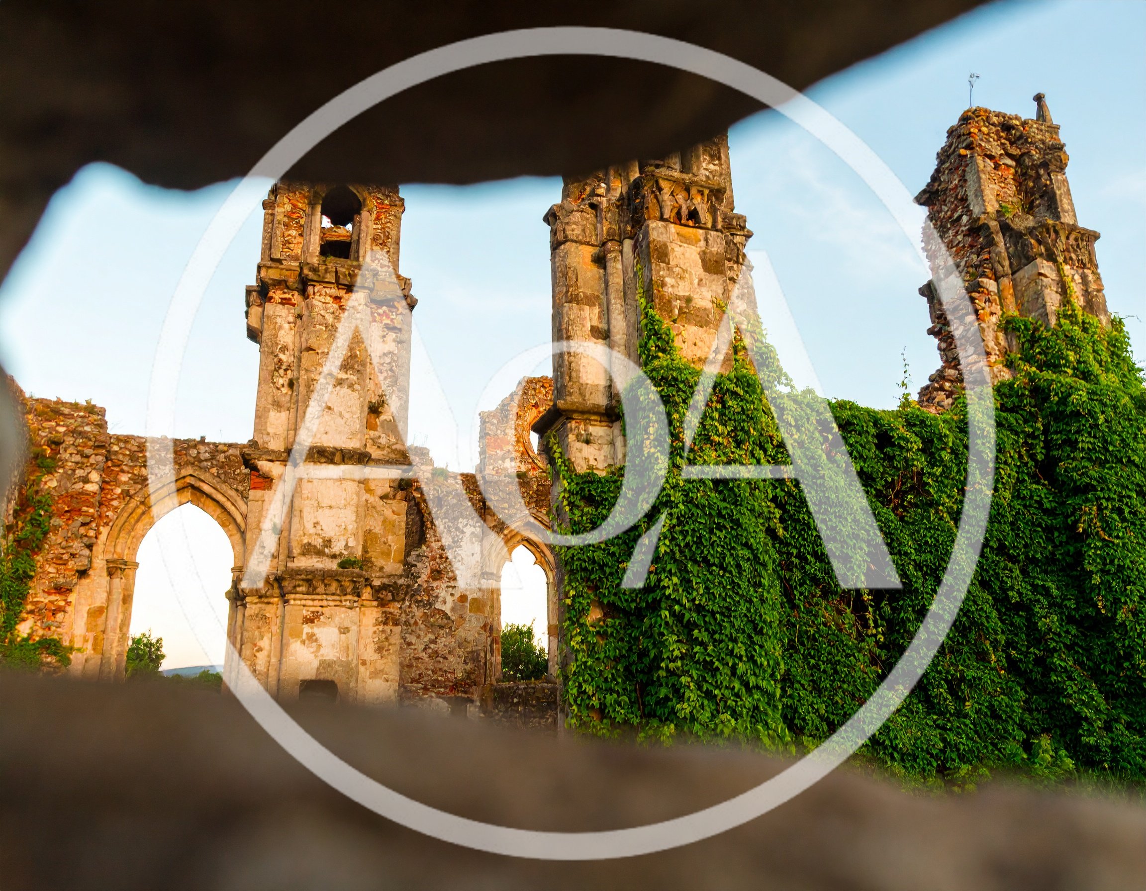 Ruins of a Gothic Monastery Covered in Ivy