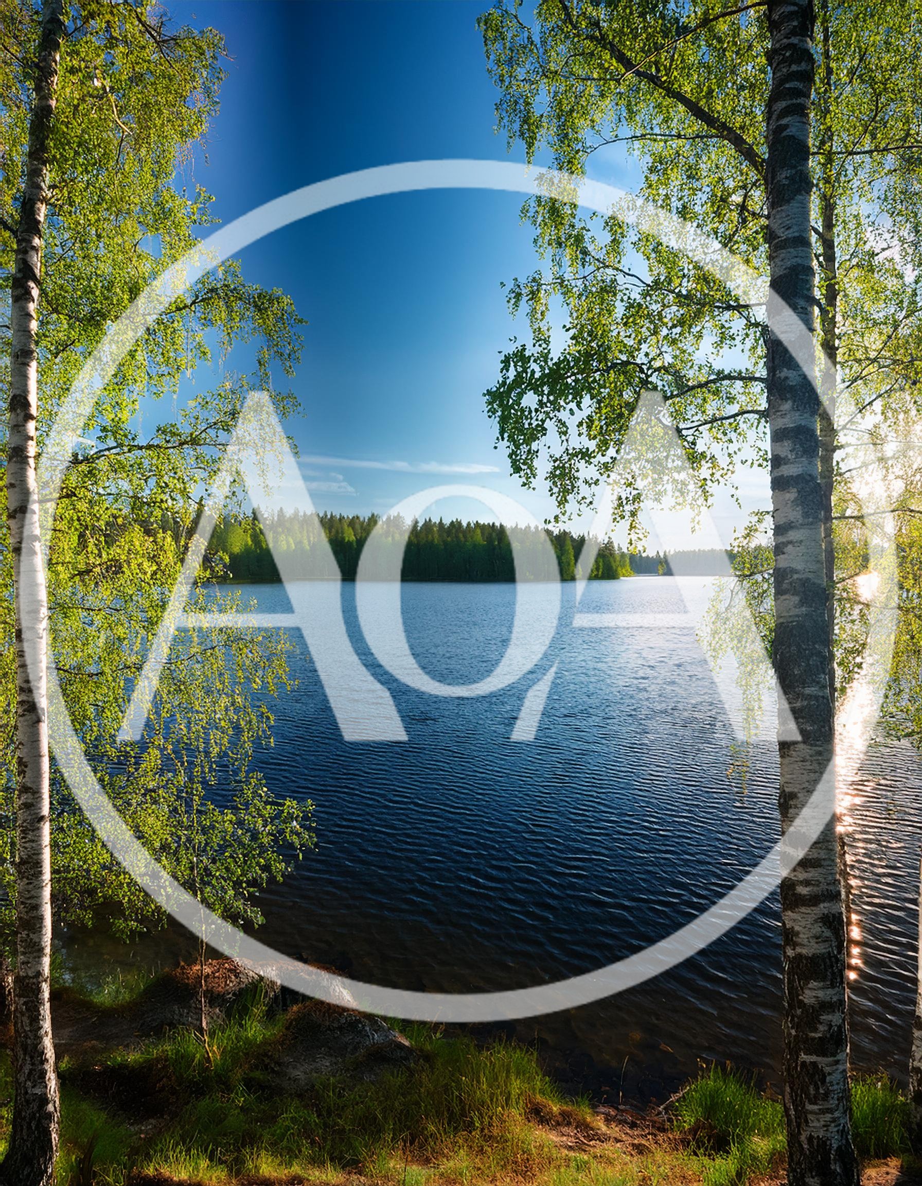 Birch Trees Framing A Serene Finnish Lake Landscape