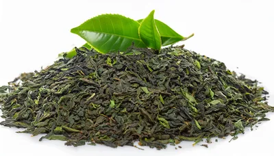 Dried Green Tea Leaves With Fresh Leaves