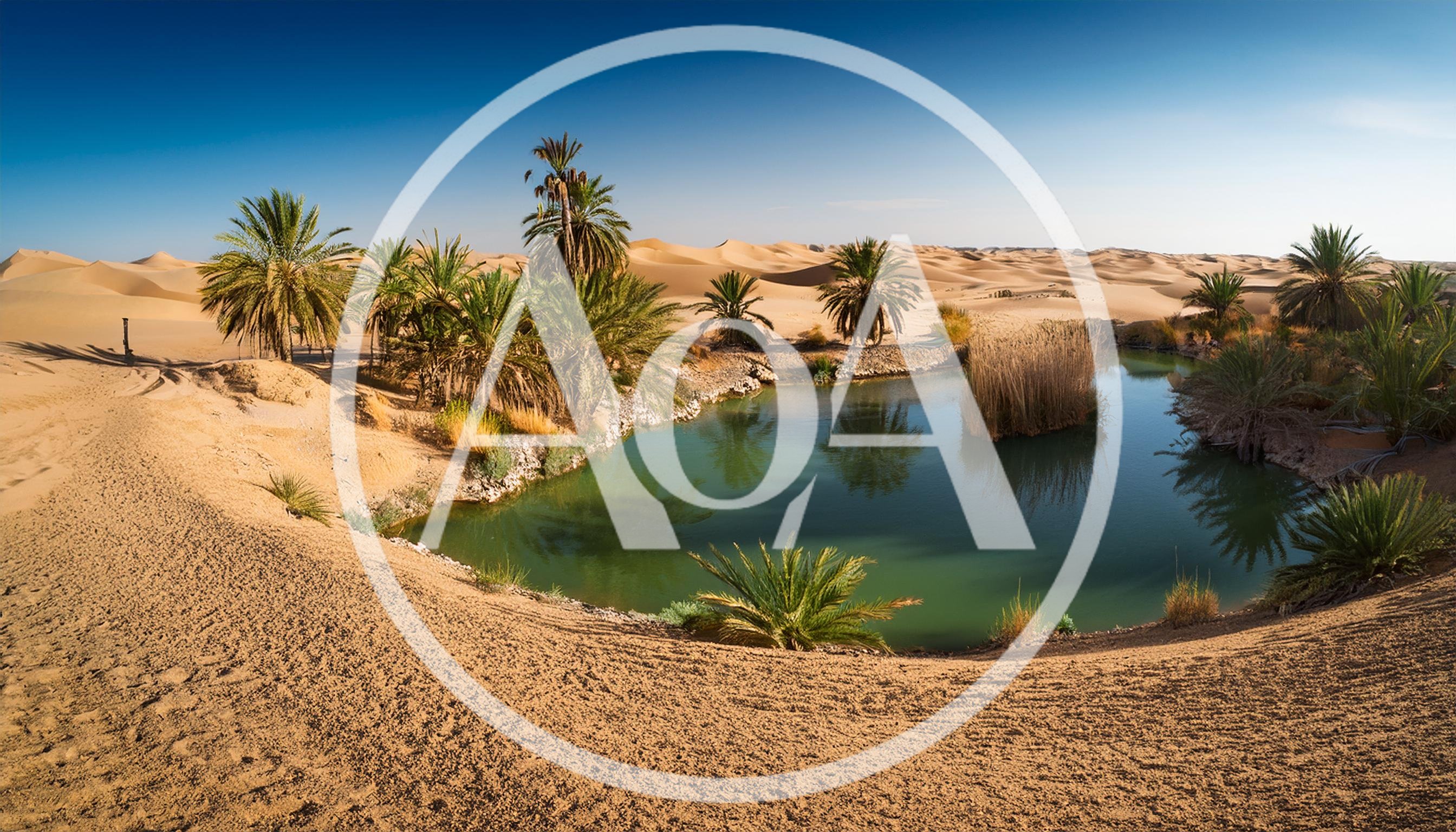 Oasis With Palm Trees In The Sahara Desert