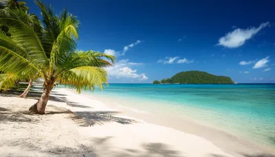 Tropical Beach With Palm Tree And Distant Island