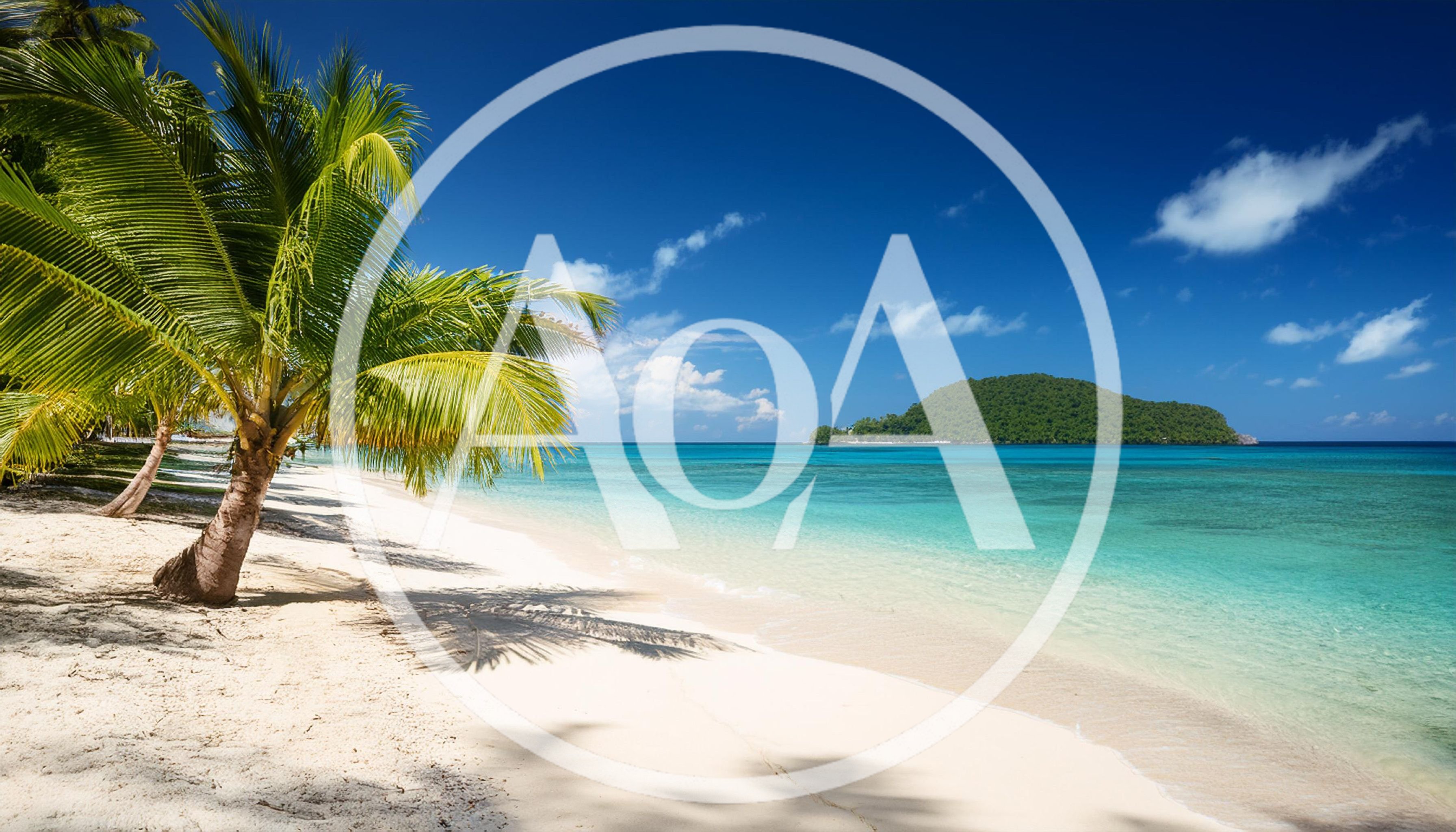 Tropical Beach With Palm Tree And Distant Island
