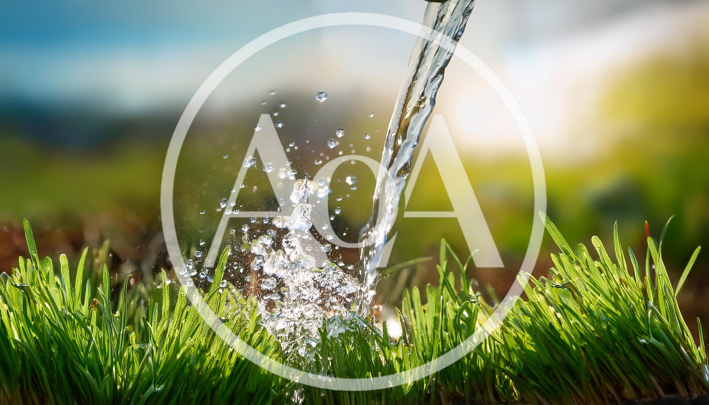 Water Pouring Onto Fresh Green Grass Blades