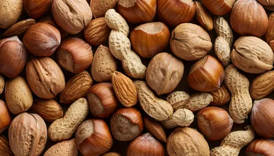 Assorted Mixed Nuts Including Walnuts Peanuts And Hazelnuts