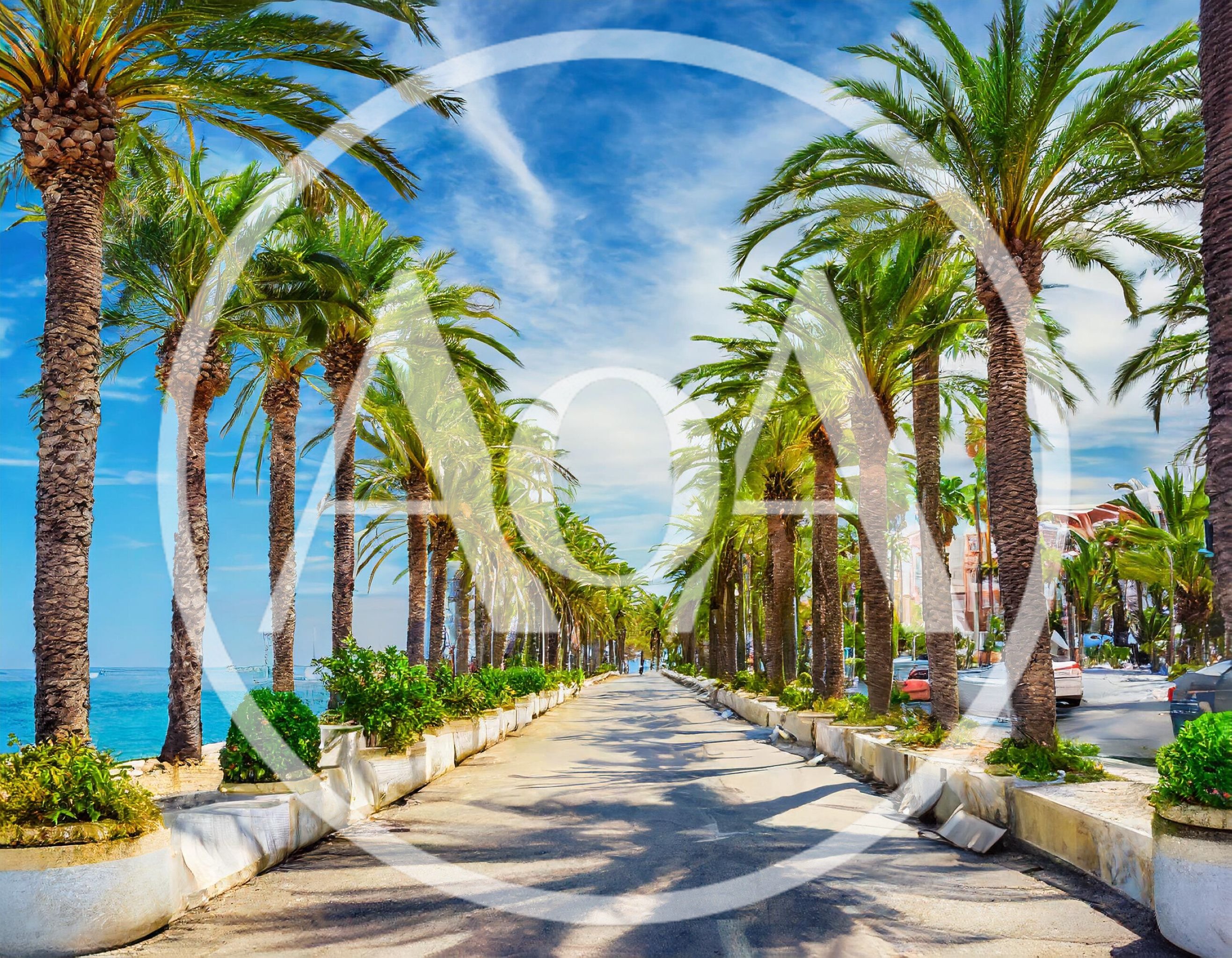 Palm Tree Lined Promenade Along The Mediterranean Sea