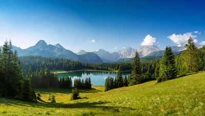 Scenic Alpine Lake Surrounded By Pine Forest And Mountains