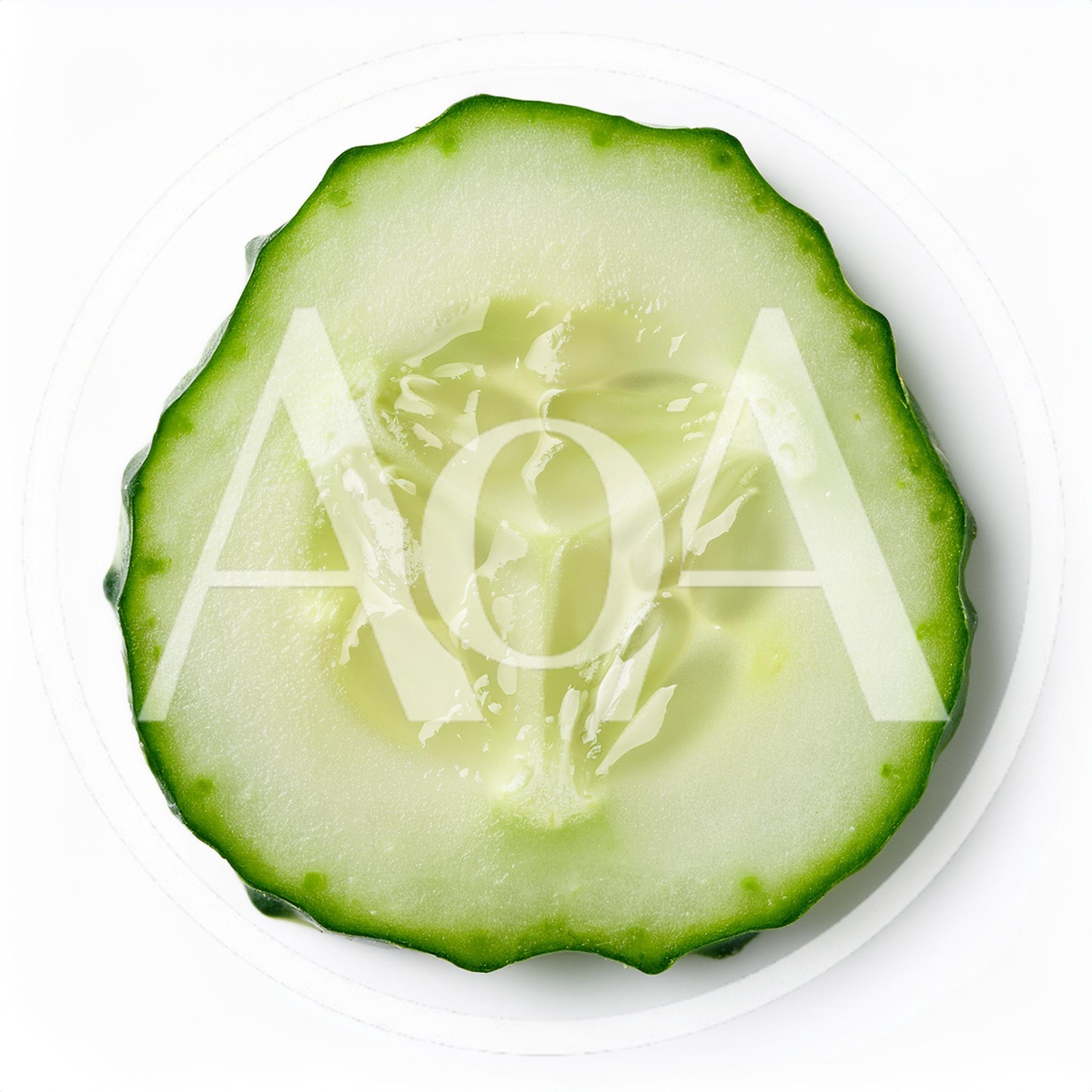 Fresh Cucumber Slice Isolated On White Background
