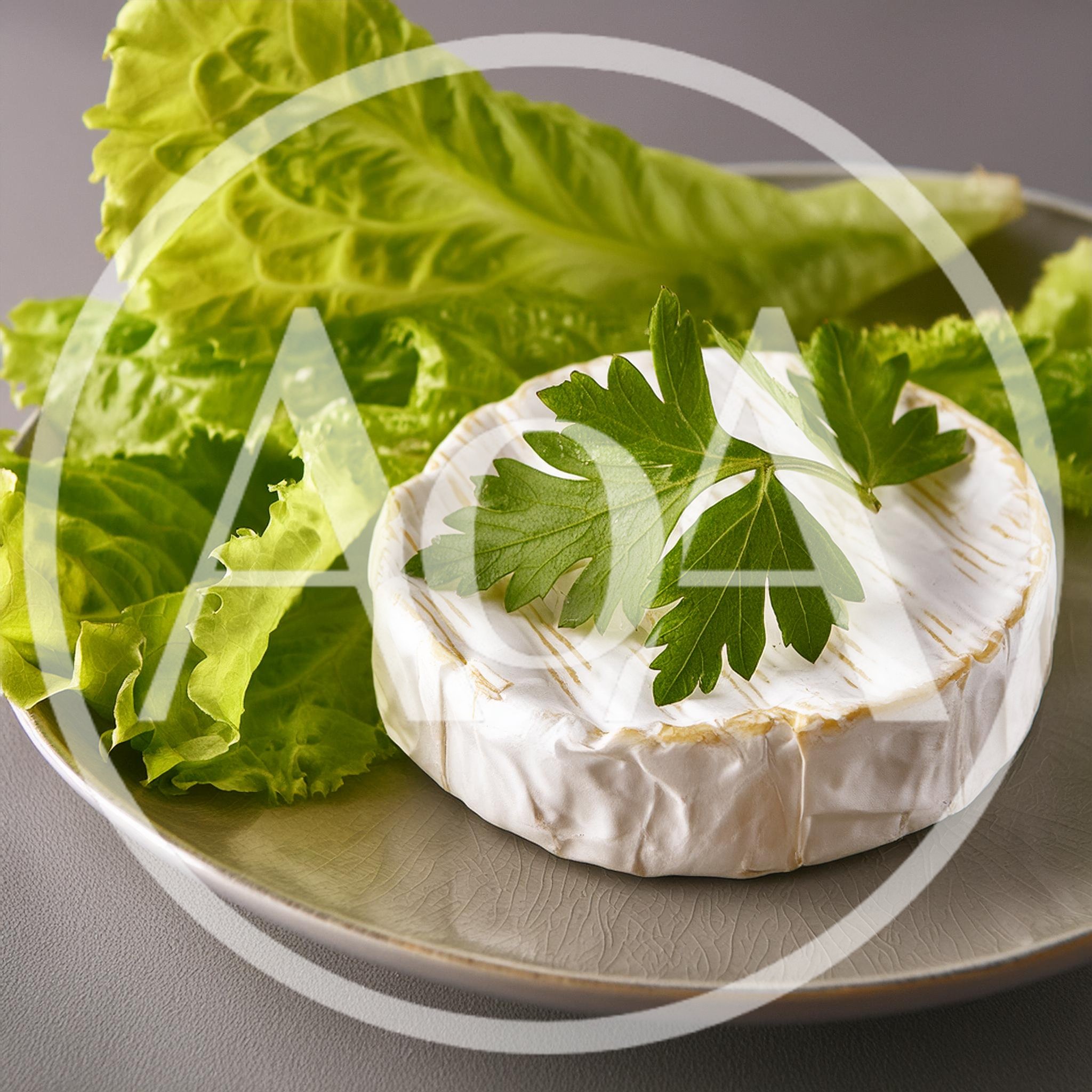 Camembert Cheese Wheel With Fresh Lettuce And Parsley
