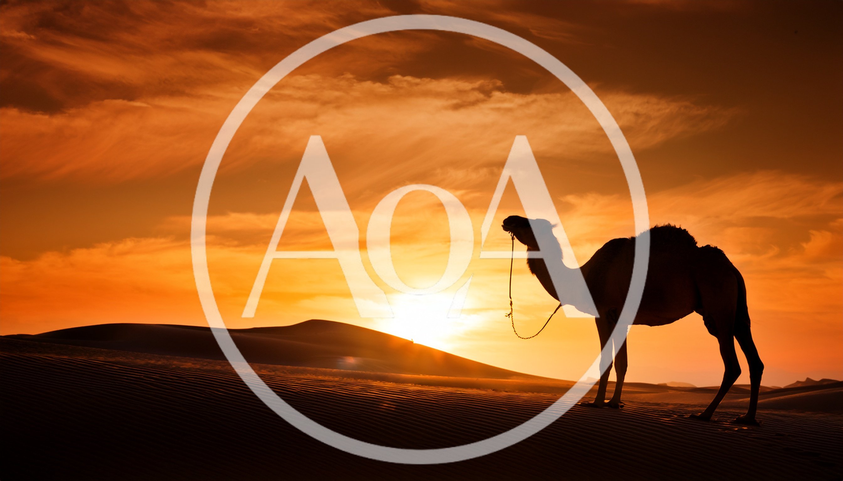 Silhouette Of A Camel Standing On Desert Sand Dunes
