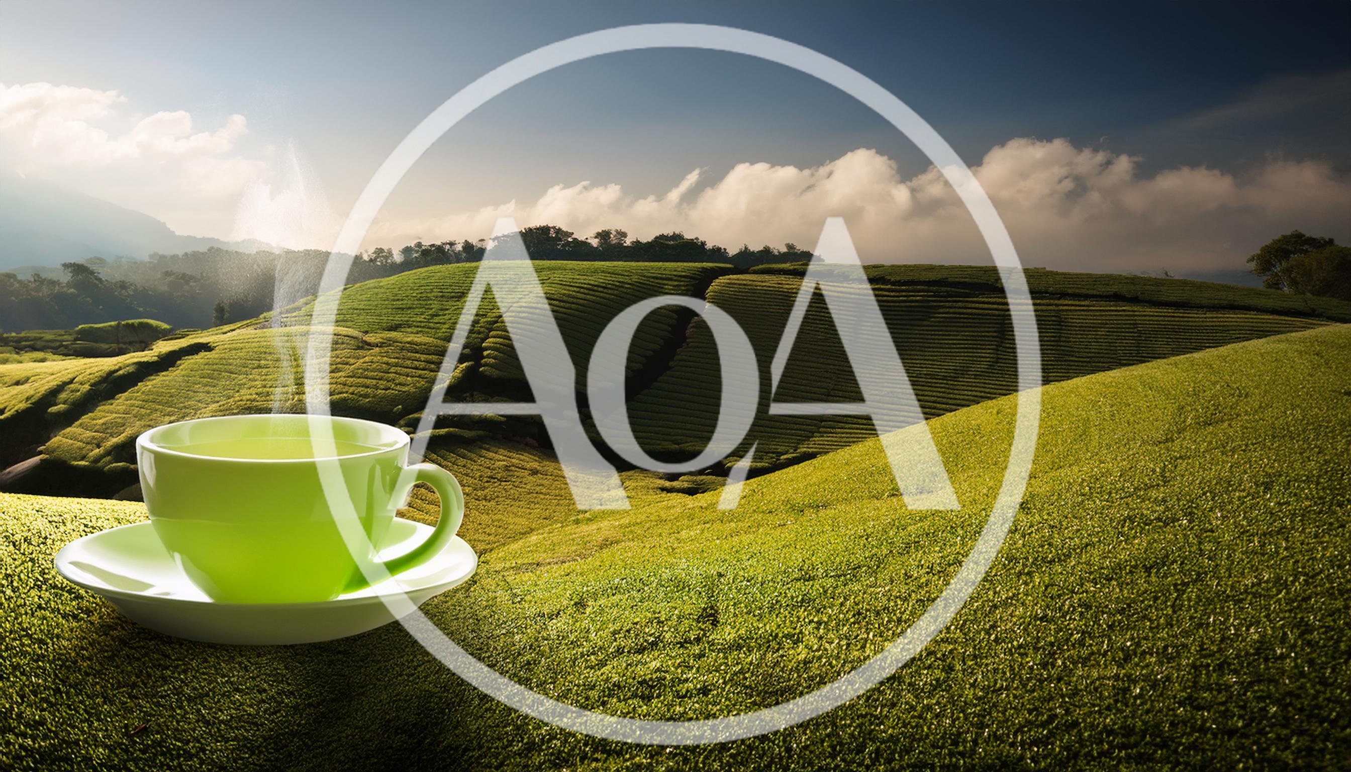 Steaming Green Tea Cup On Lush Tea Plantation Hill