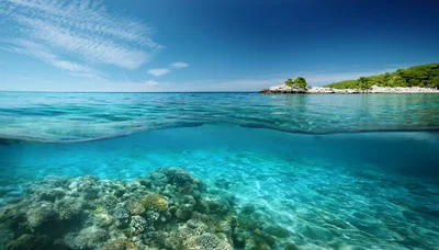 Split Level View Of Tropical Coral Reef And Island