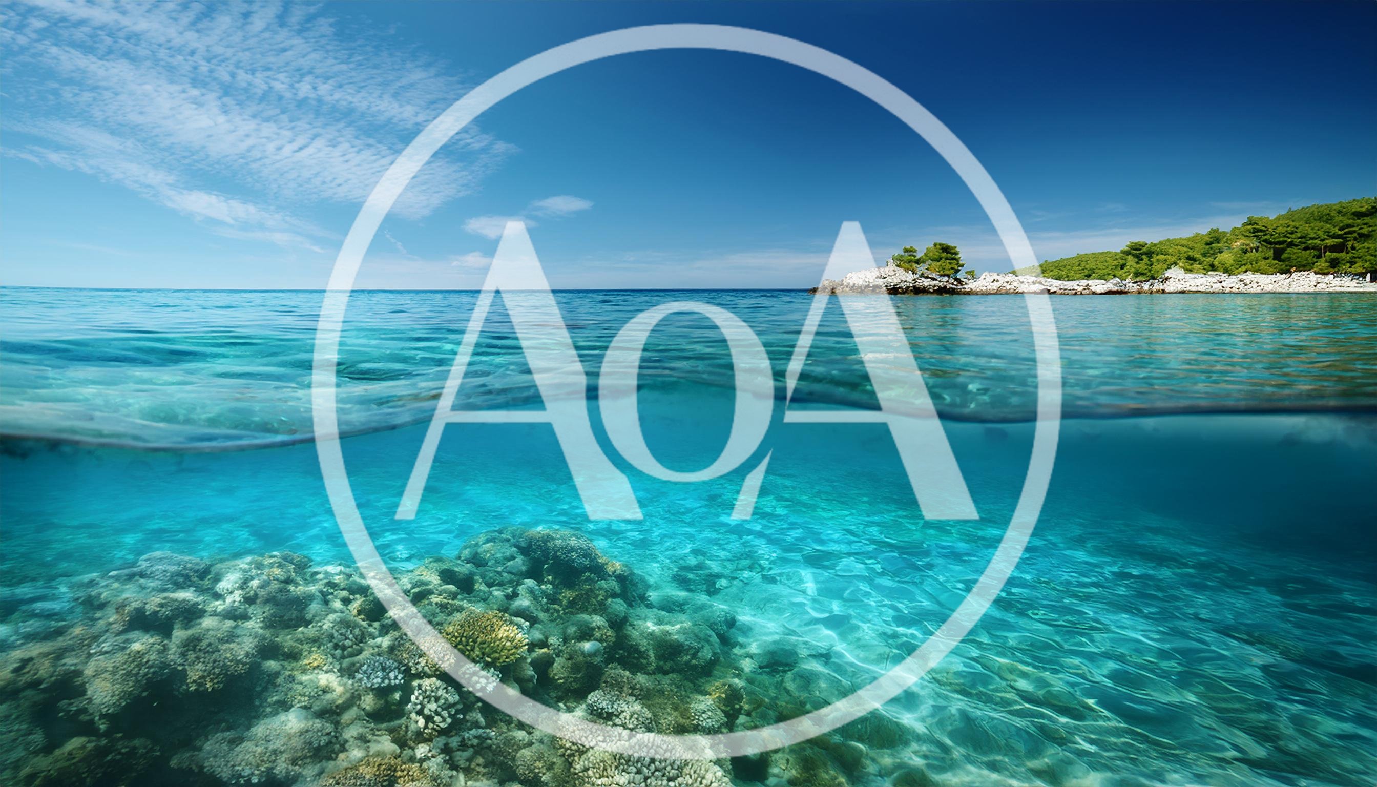 Split Level View Of Tropical Coral Reef And Island