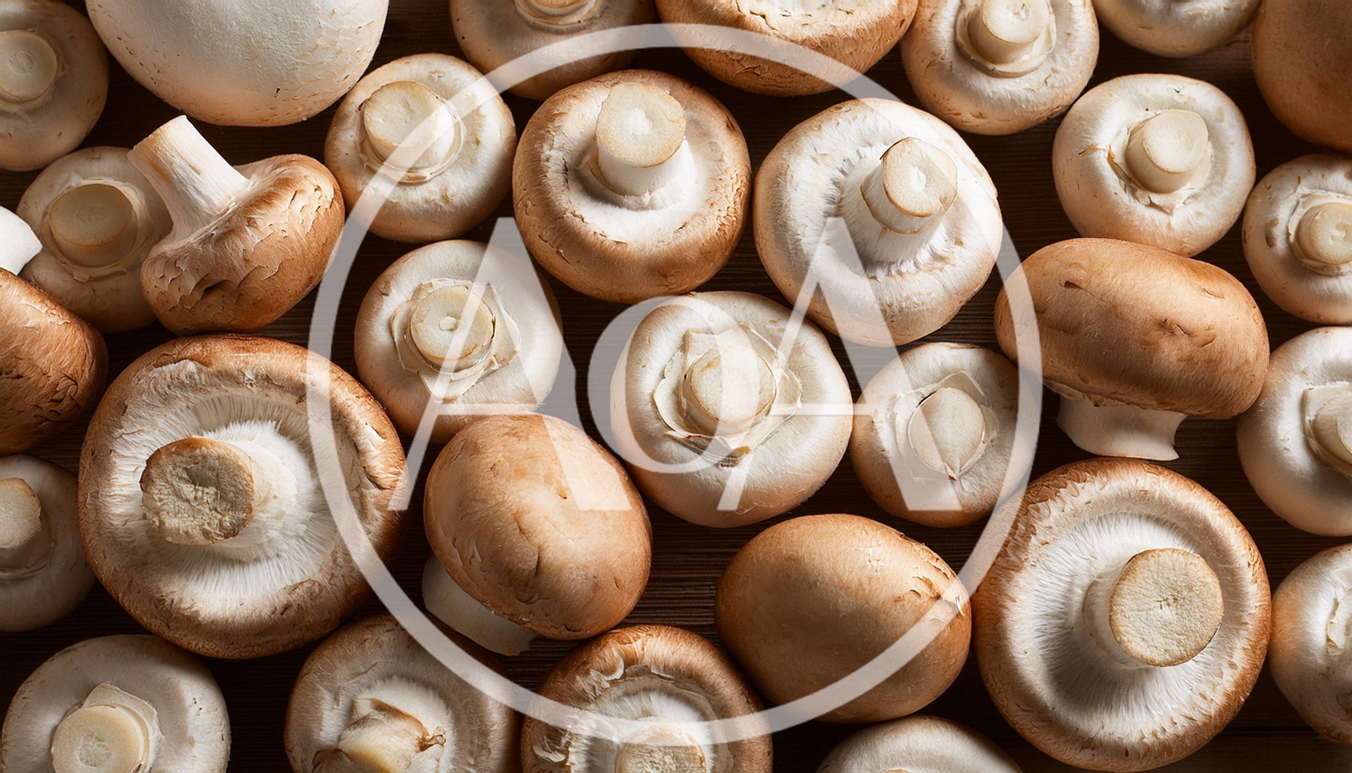 Fresh Brown Cremini Mushrooms On Wooden Surface