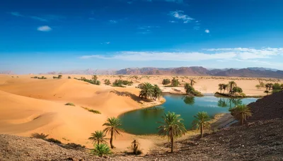 Oasis With Palm Trees In The Sahara Desert