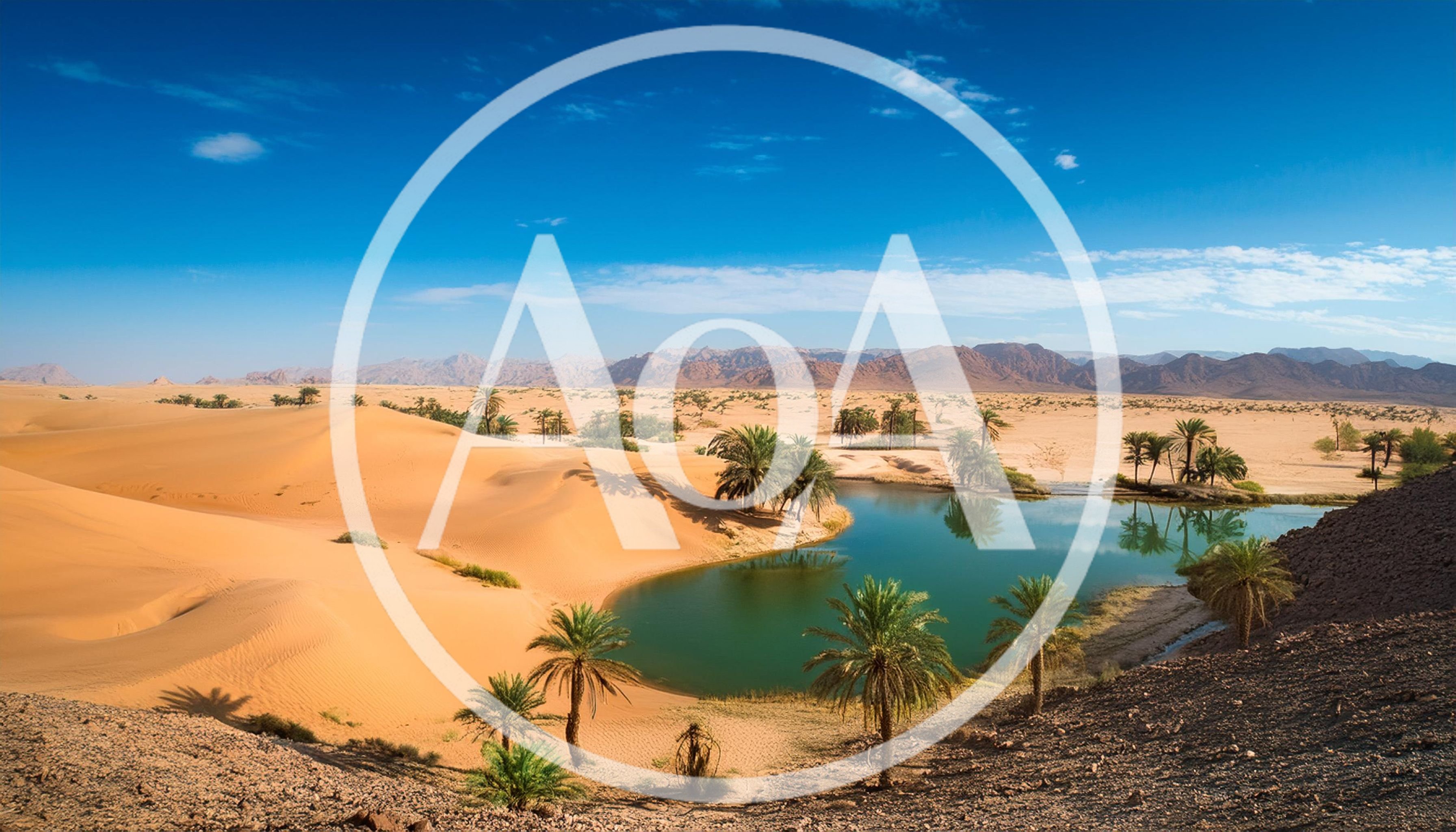 Oasis With Palm Trees In The Sahara Desert
