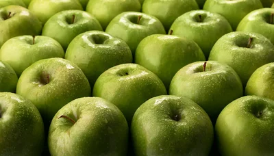 Fresh Green Granny Smith Apples Arranged In Rows