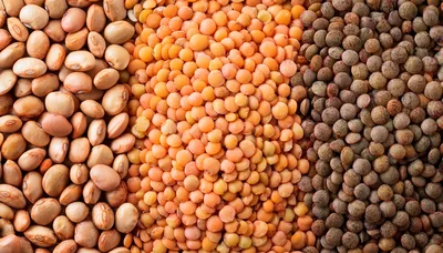Three Varieties Of Dried Legumes And Lentils