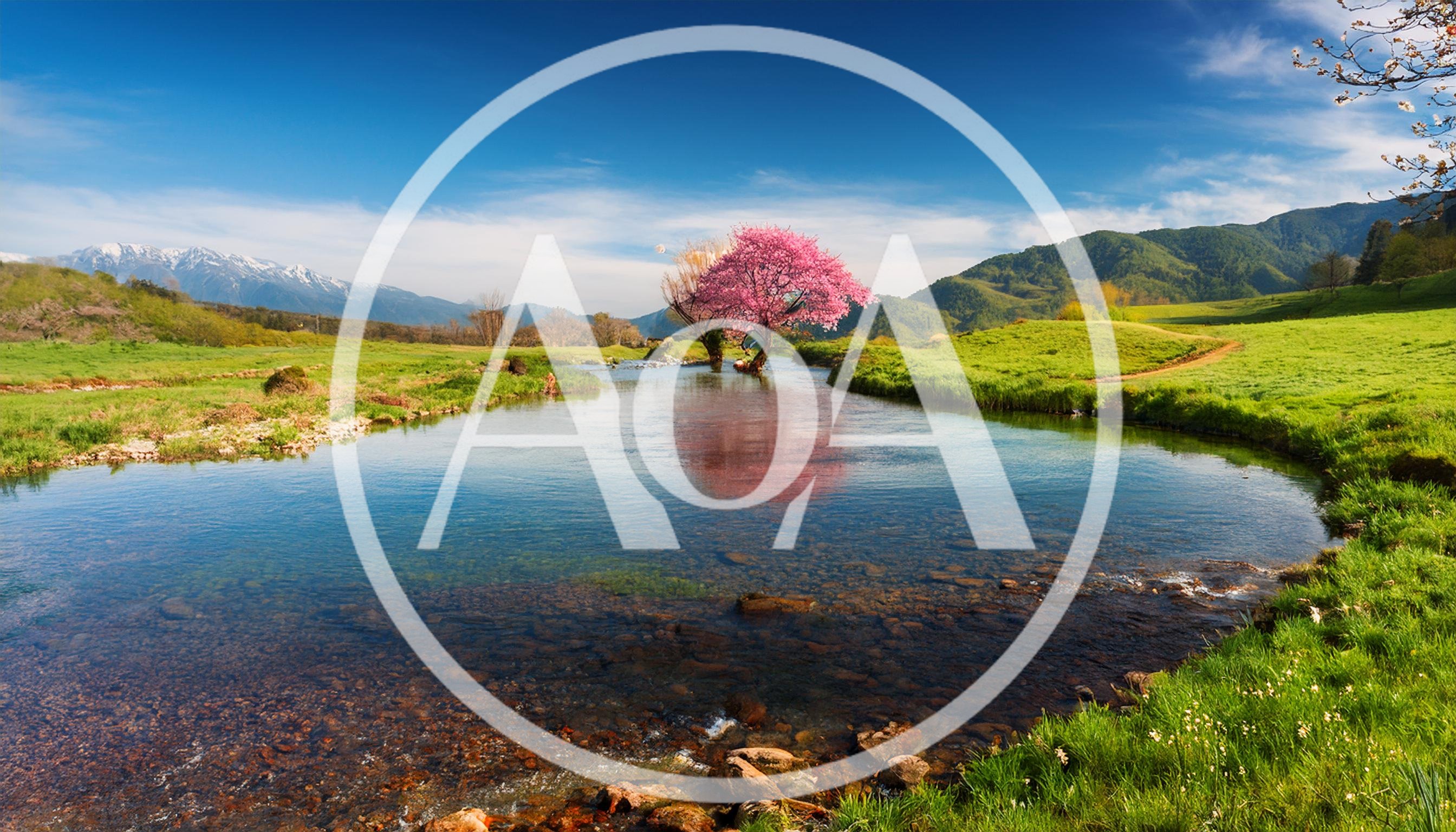 Pink Cherry Blossom Tree Standing In A Calm River