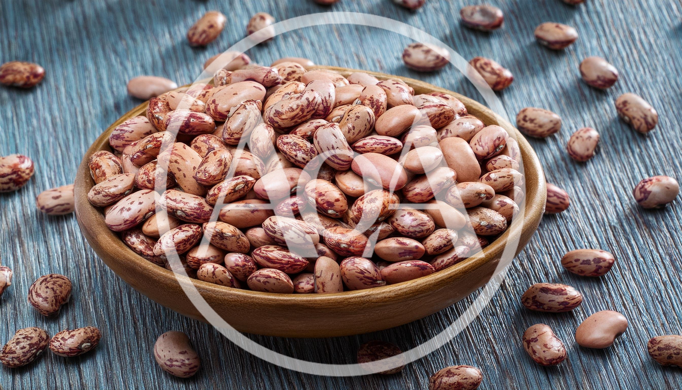 Pinto Beans in a Wooden Bowl