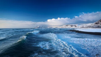 Winter Ocean Waves Crashing On Snowy Beach