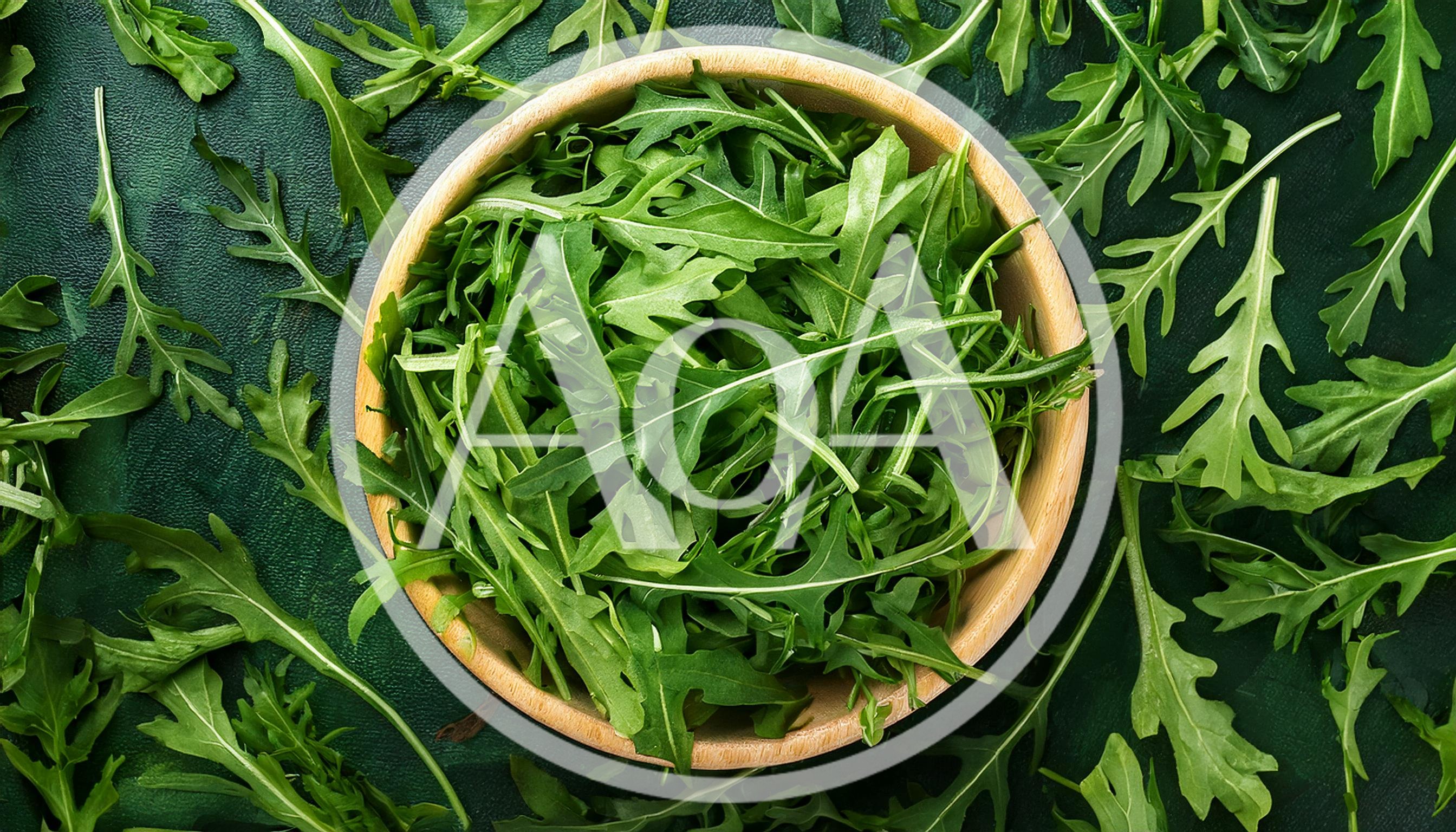 Fresh Arugula Leaves In A Wooden Bowl