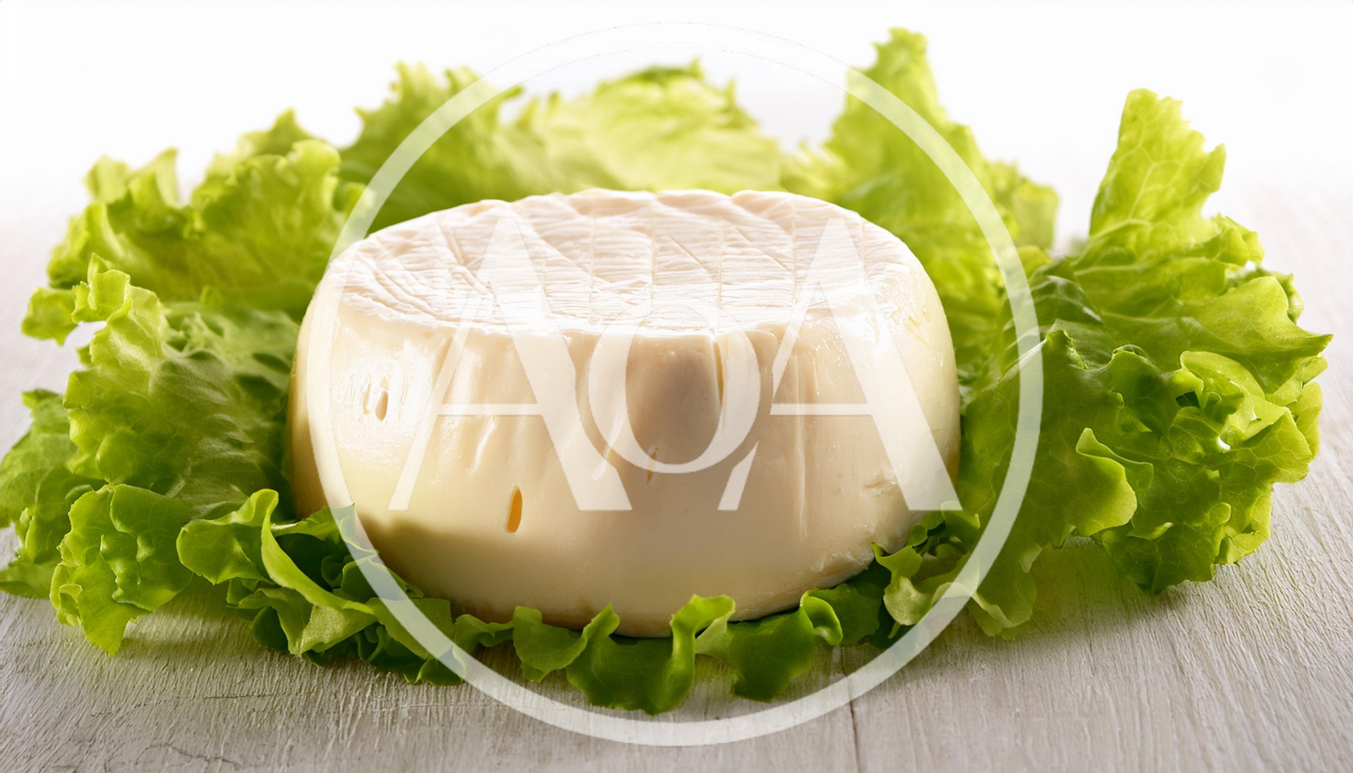 Fresh Round Cheese Wheel On A Bed Of Lettuce