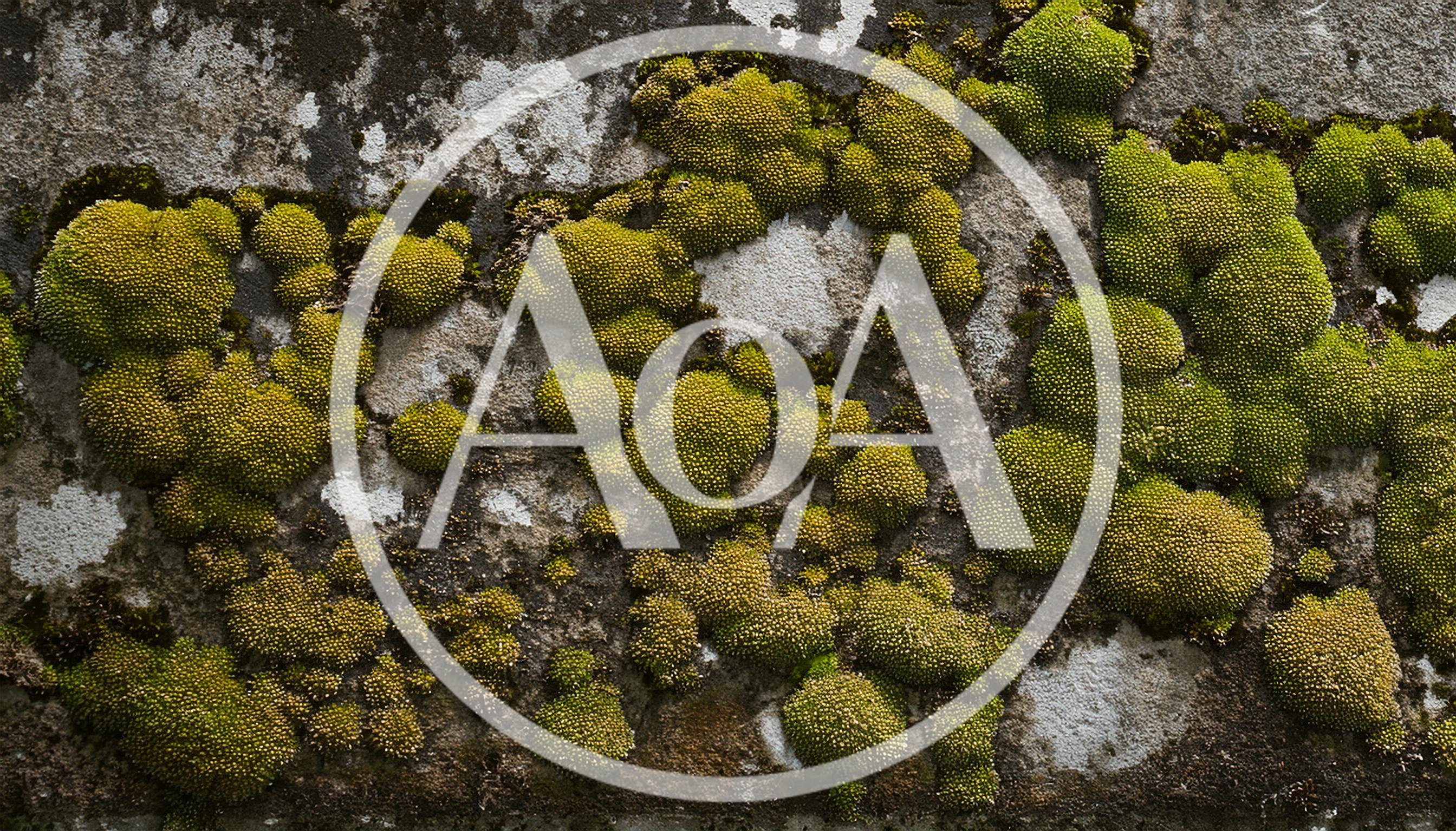 Green Moss Growing On Weathered Stone Wall