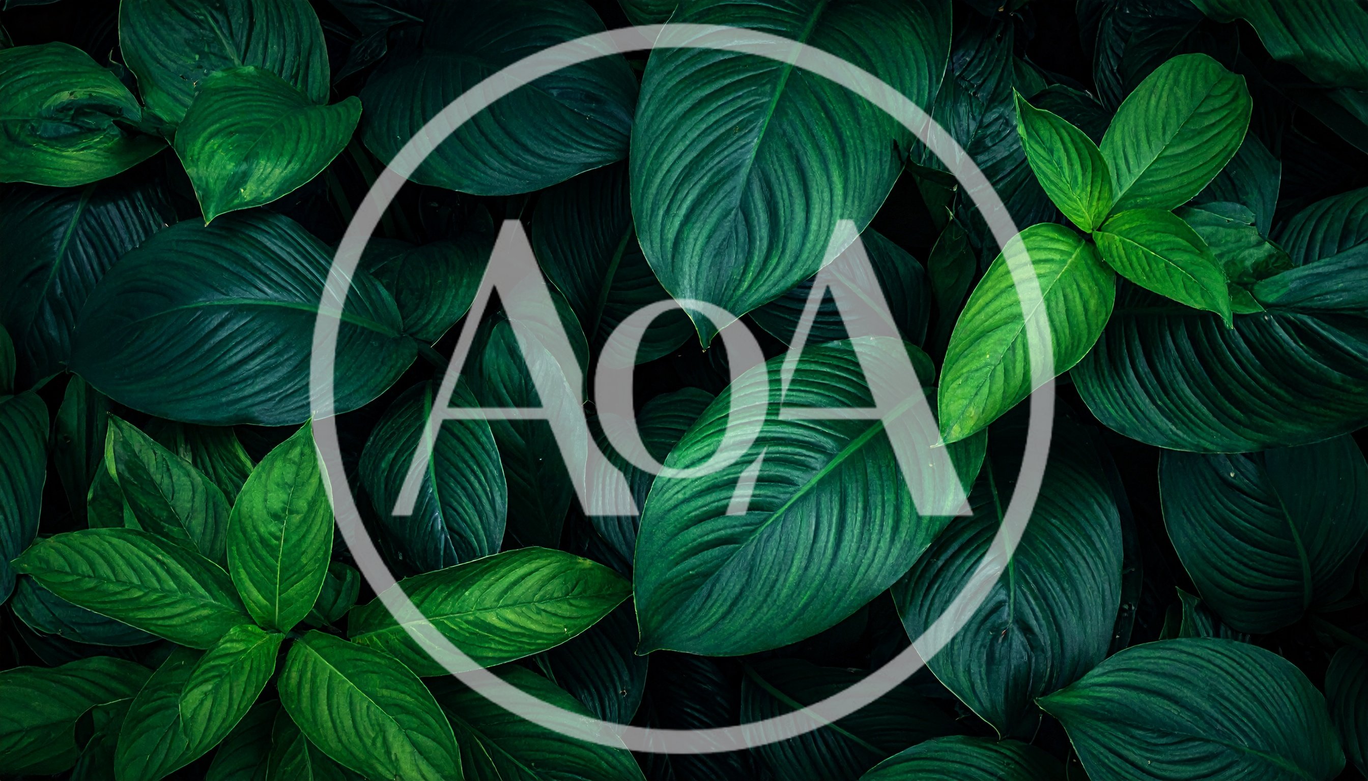 Lush Tropical Green Leaves Background