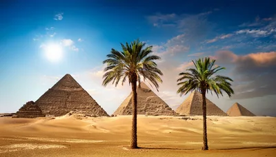 Giza Pyramids Landscape With Palm Trees At Sunset