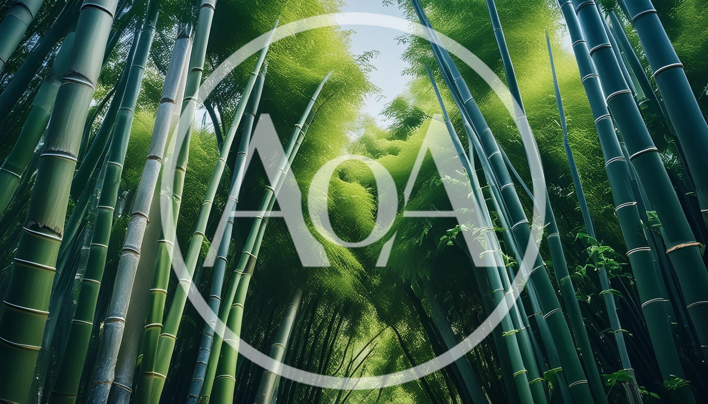 Low Angle View Of Tall Bamboo Forest