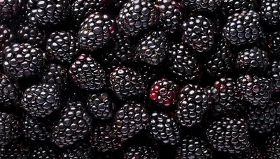 Fresh Ripe Blackberries Background Texture