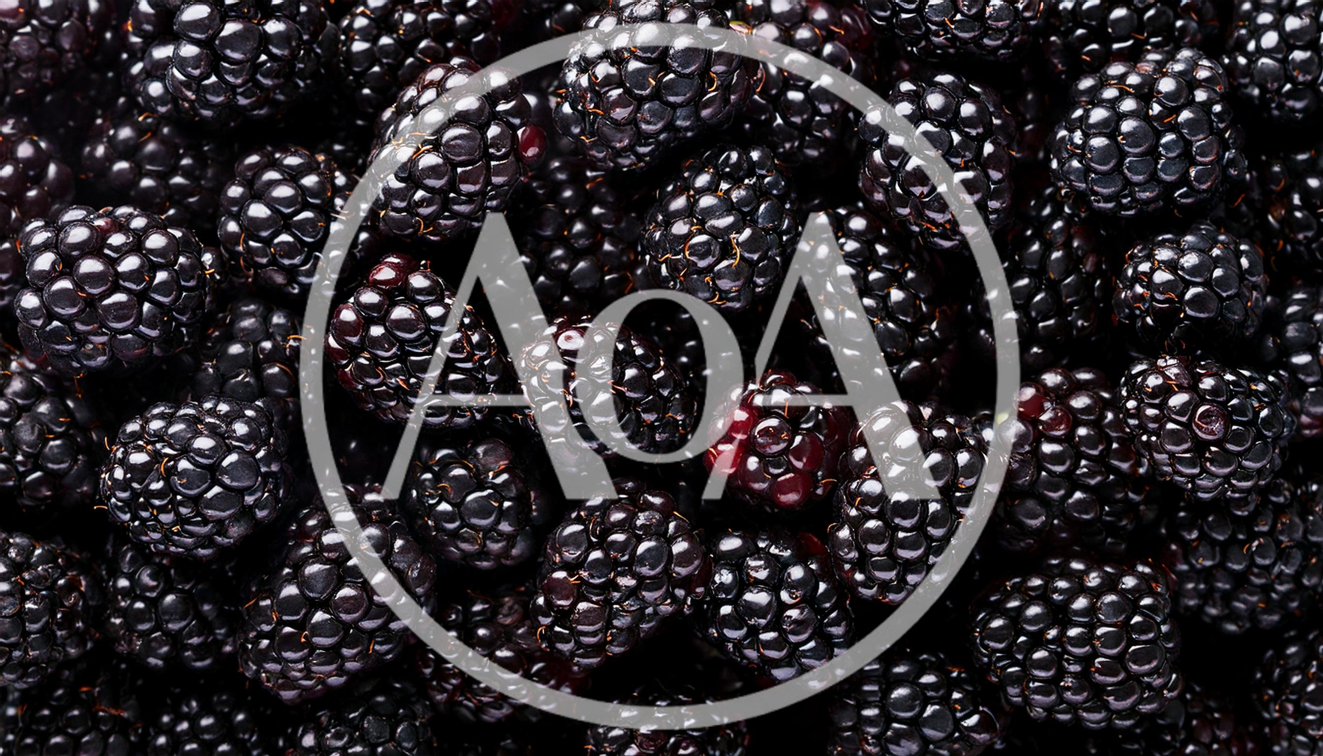 Fresh Ripe Blackberries Background Texture